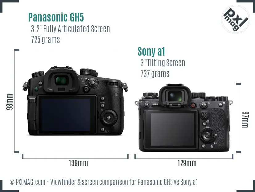 Panasonic GH5 vs Sony a1 Screen and Viewfinder comparison