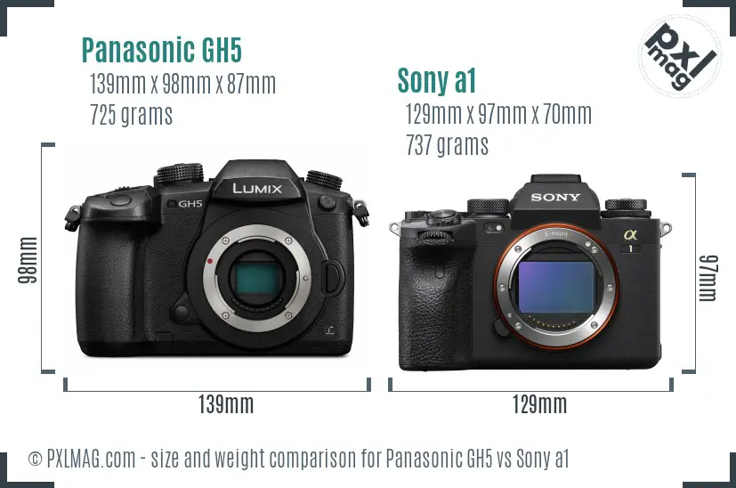 Panasonic GH5 vs Sony a1 size comparison