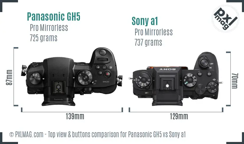 Panasonic GH5 vs Sony a1 top view buttons comparison