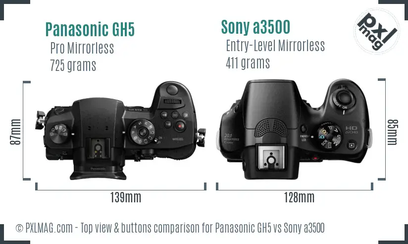 Panasonic GH5 vs Sony a3500 top view buttons comparison