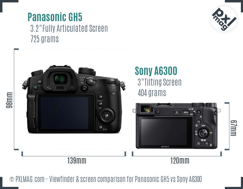 Panasonic GH5 vs Sony A6300 Screen and Viewfinder comparison