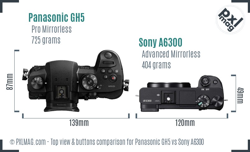 Panasonic GH5 vs Sony A6300 top view buttons comparison