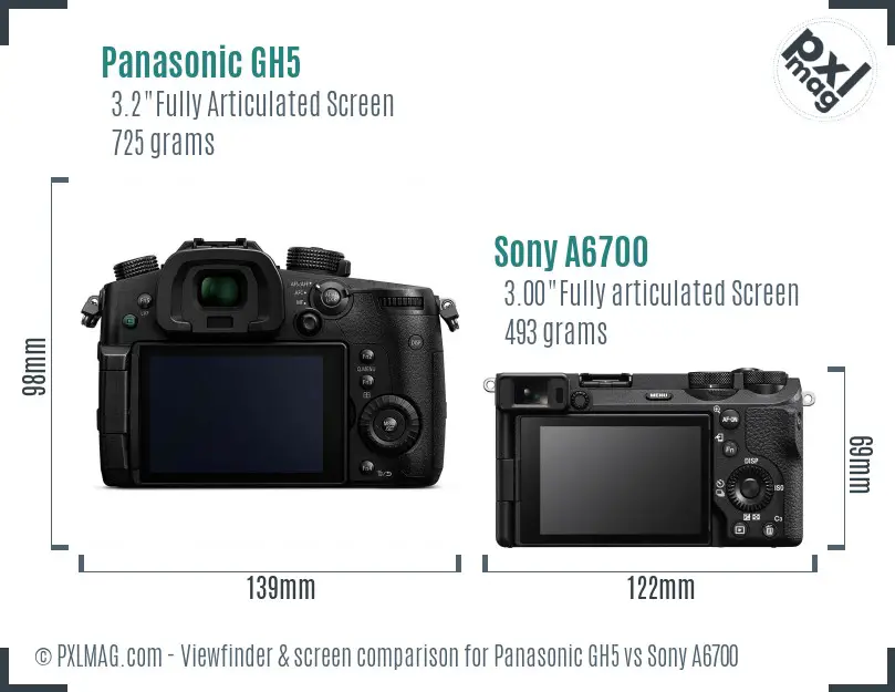 Panasonic GH5 vs Sony A6700 Screen and Viewfinder comparison