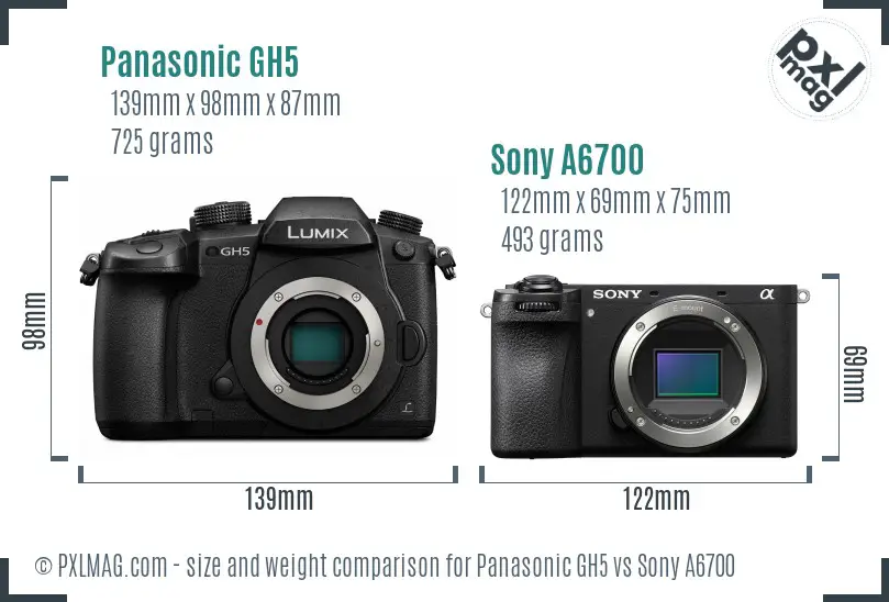 Panasonic GH5 vs Sony A6700 size comparison