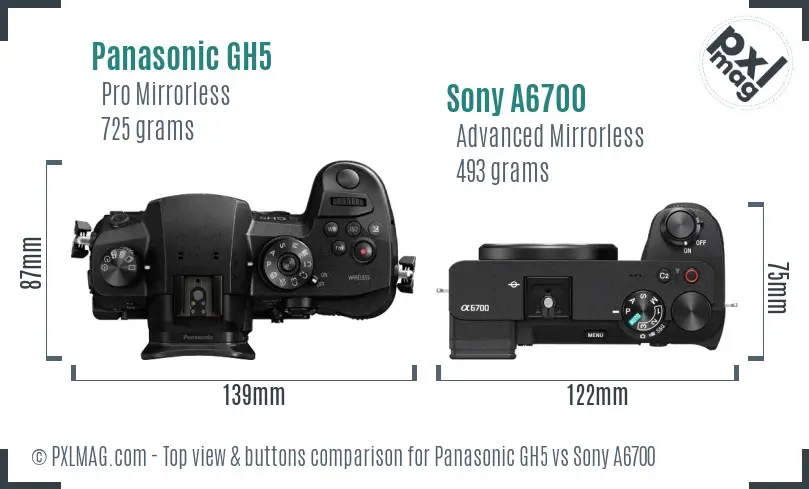 Panasonic GH5 vs Sony A6700 top view buttons comparison