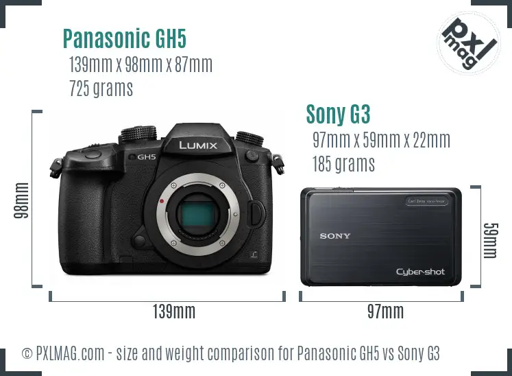 Panasonic GH5 vs Sony G3 size comparison Panasonic GH5 vs Sony G3 size comparison