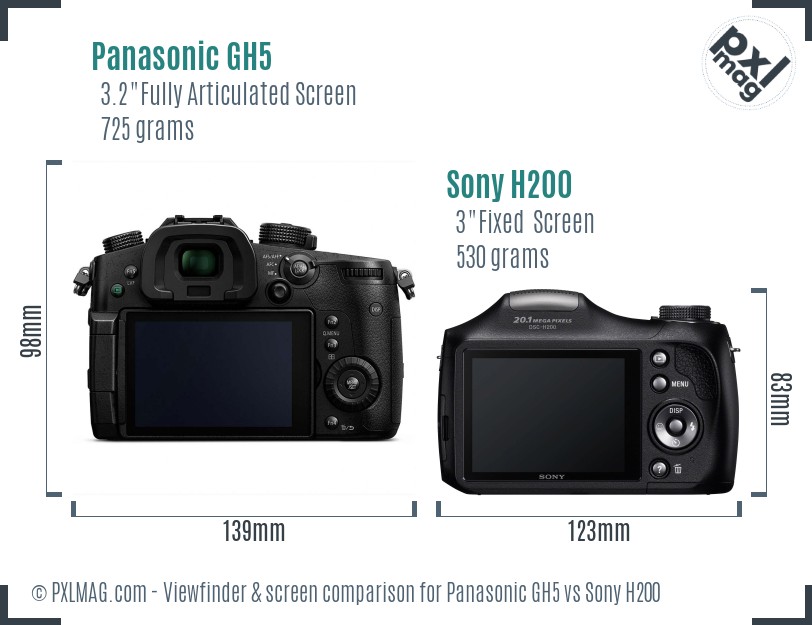 Panasonic GH5 vs Sony H200 Screen and Viewfinder comparison