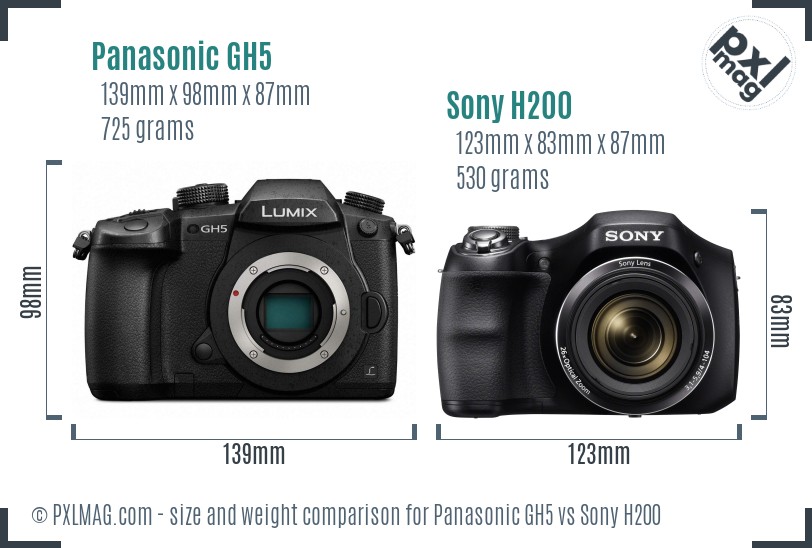 Panasonic GH5 vs Sony H200 size comparison