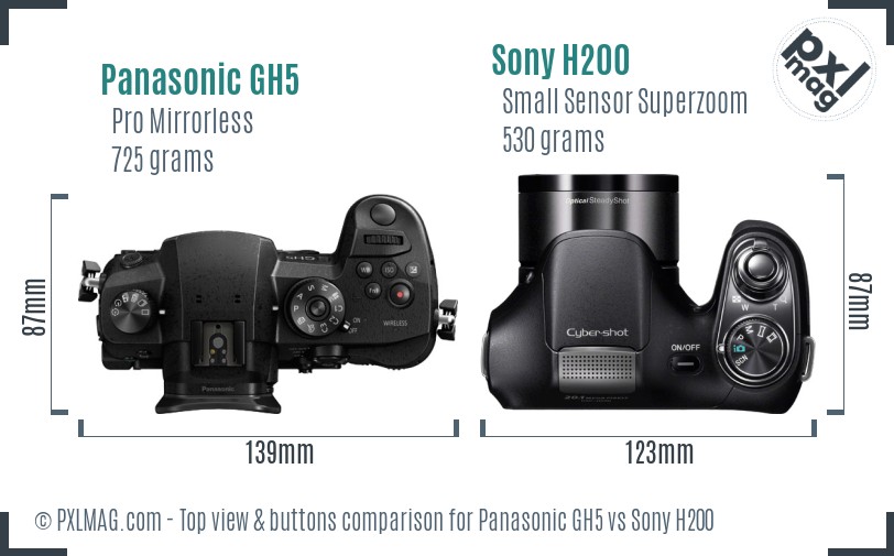 Panasonic GH5 vs Sony H200 top view buttons comparison