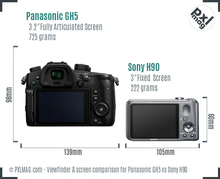 Panasonic GH5 vs Sony H90 Screen and Viewfinder comparison