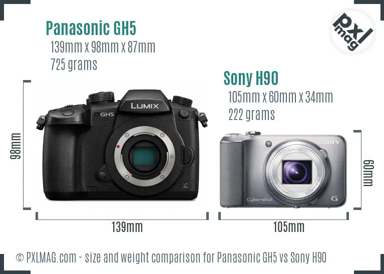 Panasonic GH5 vs Sony H90 size comparison