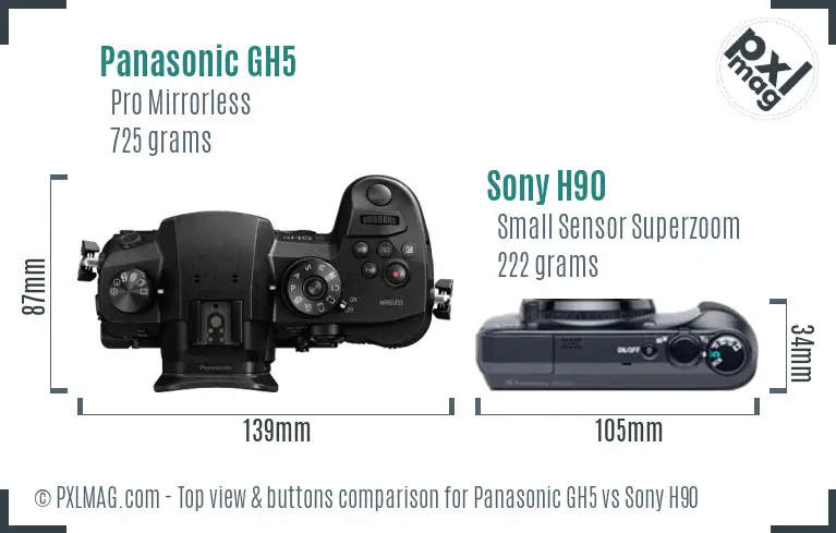 Panasonic GH5 vs Sony H90 top view buttons comparison