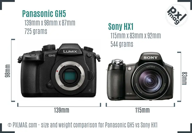 Panasonic GH5 vs Sony HX1 size comparison
