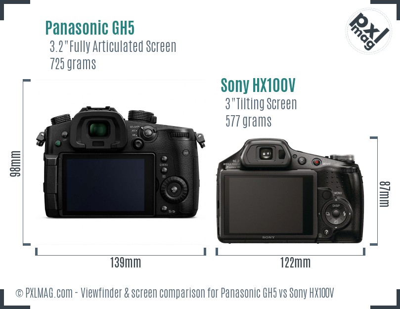 Panasonic GH5 vs Sony HX100V Screen and Viewfinder comparison