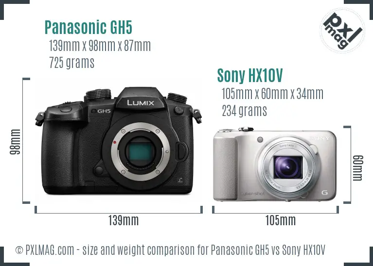 Side-by-side size comparison of Panasonic GH5 and Sony HX10V showing physical size and ergonomics