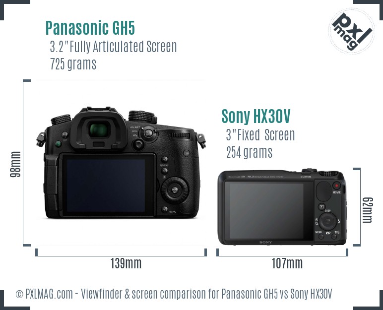 Panasonic GH5 vs Sony HX30V Screen and Viewfinder comparison