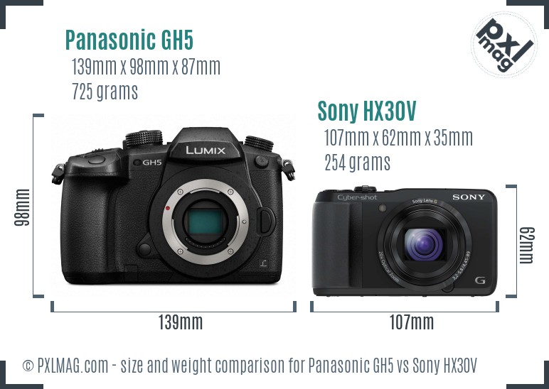 Panasonic GH5 vs Sony HX30V size comparison
