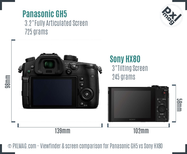 Panasonic GH5 vs Sony HX80 Screen and Viewfinder comparison