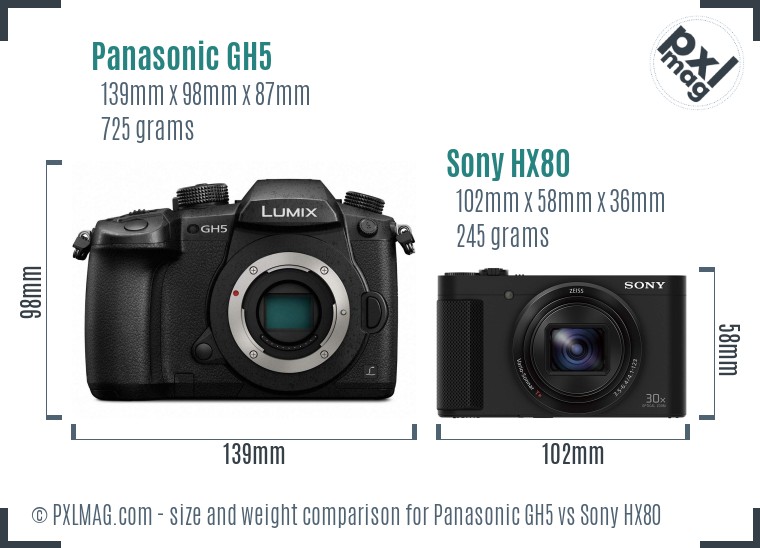 Panasonic GH5 vs Sony HX80 size comparison