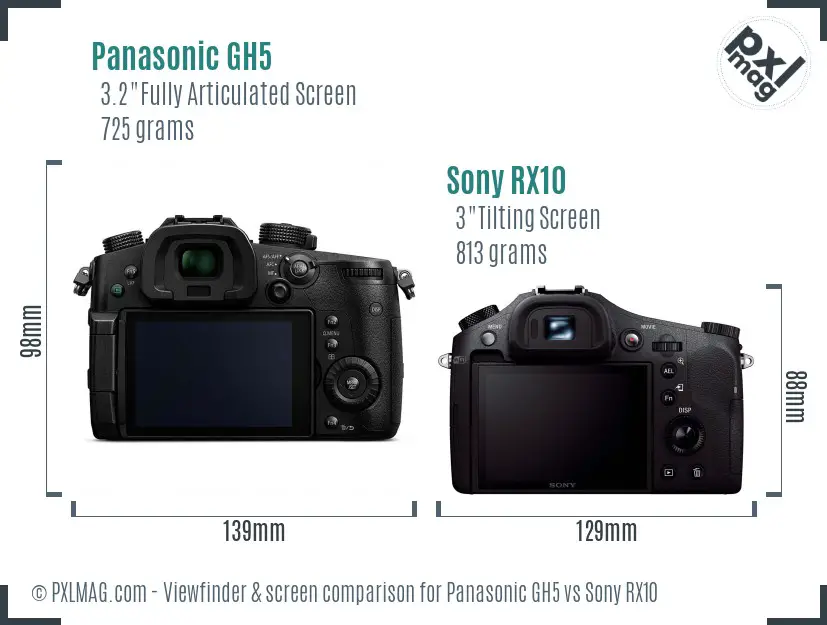 Panasonic GH5 vs Sony RX10 Screen and Viewfinder comparison