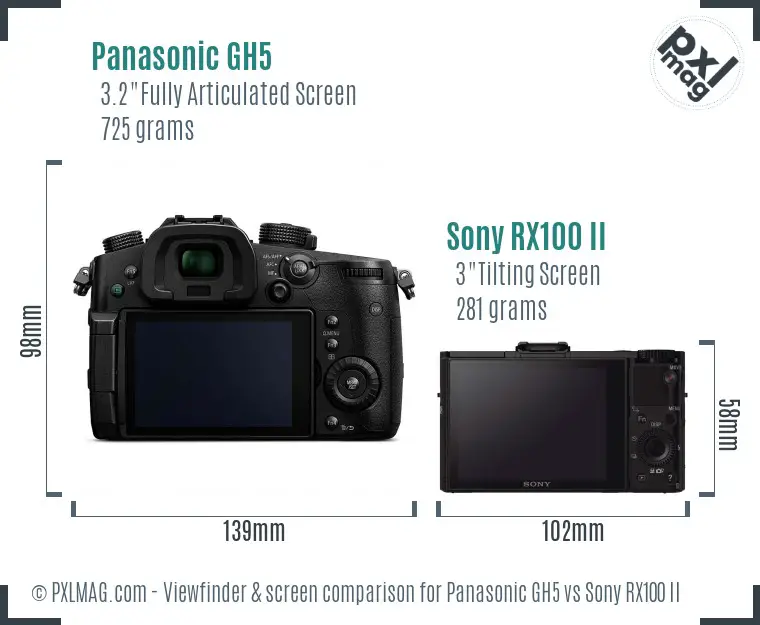 Panasonic GH5 vs Sony RX100 II Screen and Viewfinder comparison