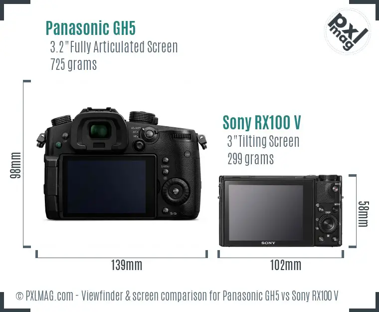 Panasonic GH5 vs Sony RX100 V Screen and Viewfinder comparison