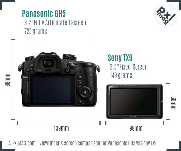 Panasonic GH5 vs Sony TX9 Screen and Viewfinder comparison