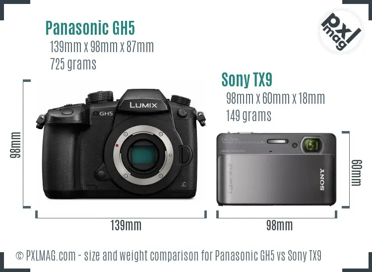 Panasonic GH5 vs Sony TX9 size comparison