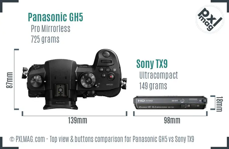 Panasonic GH5 vs Sony TX9 top view buttons comparison