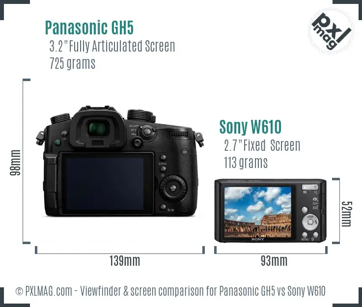Panasonic GH5 vs Sony W610 Screen and Viewfinder comparison Panasonic GH5 vs Sony W610 Screen and Viewfinder comparison