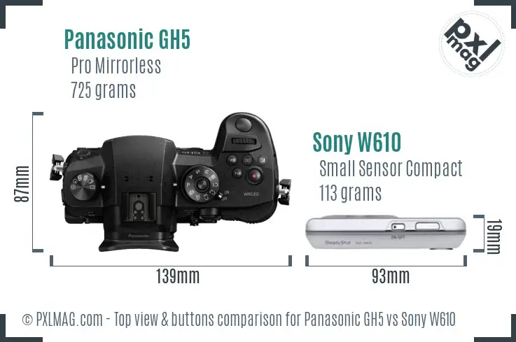 Panasonic GH5 vs Sony W610 top view buttons comparison Panasonic GH5 vs Sony W610 top view buttons comparison