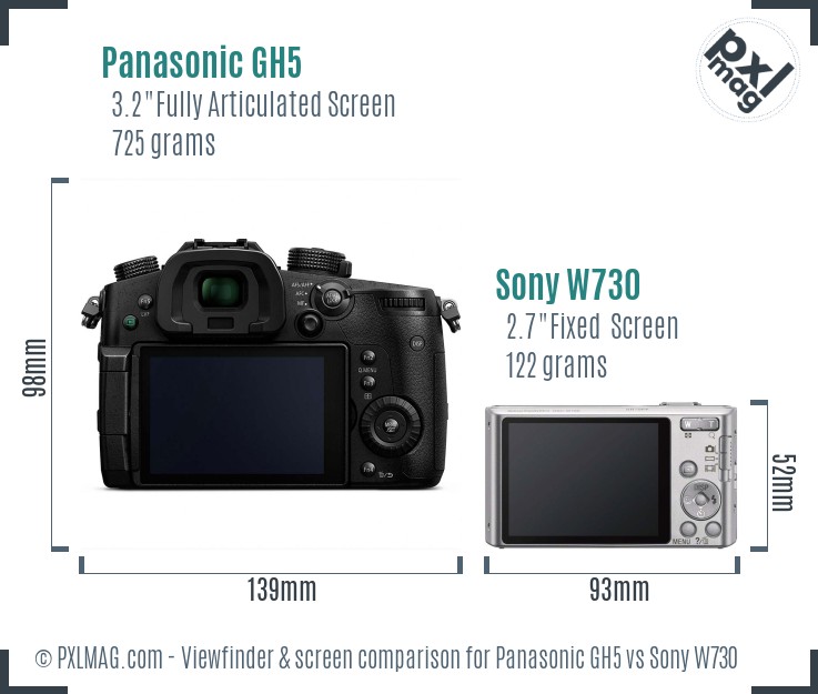 Panasonic GH5 vs Sony W730 Screen and Viewfinder comparison