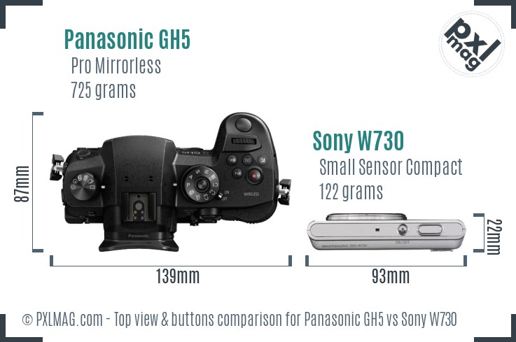 Panasonic GH5 vs Sony W730 top view buttons comparison