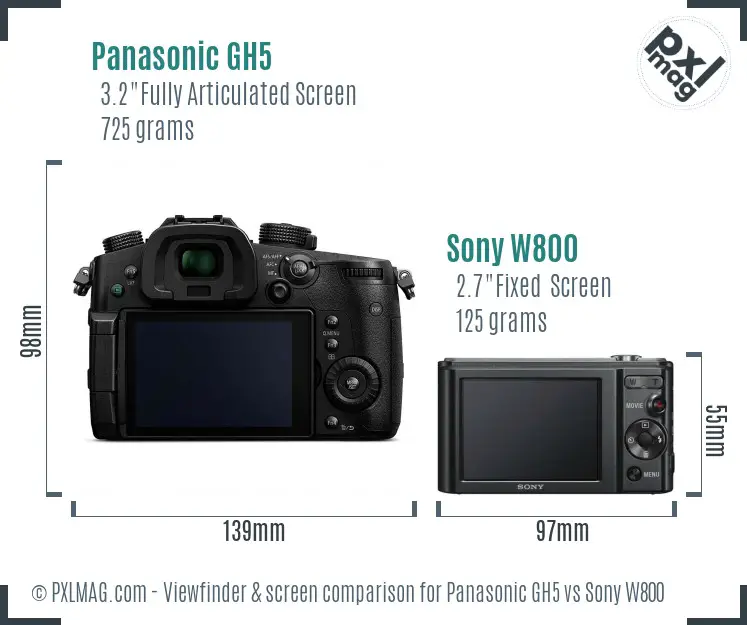 Panasonic GH5 vs Sony W800 Screen and Viewfinder comparison