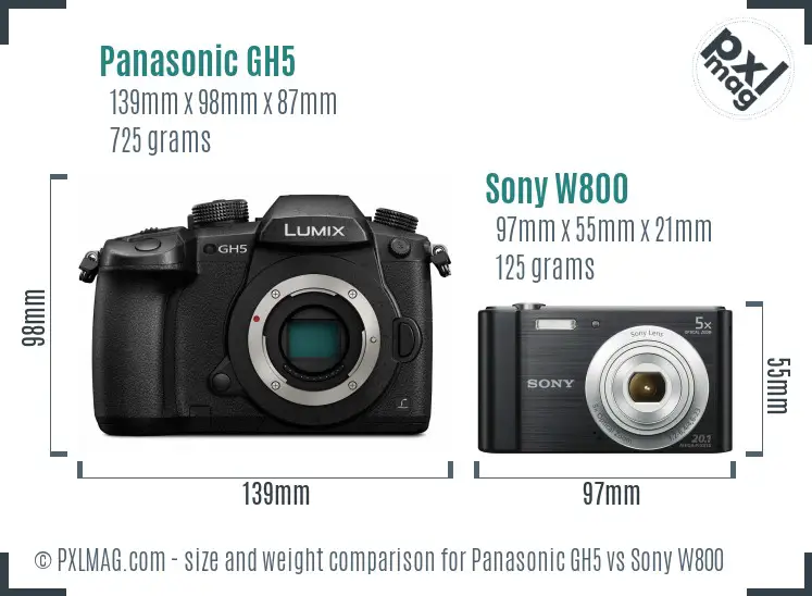 Panasonic GH5 vs Sony W800 size comparison