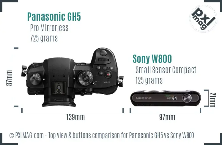 Panasonic GH5 vs Sony W800 top view buttons comparison