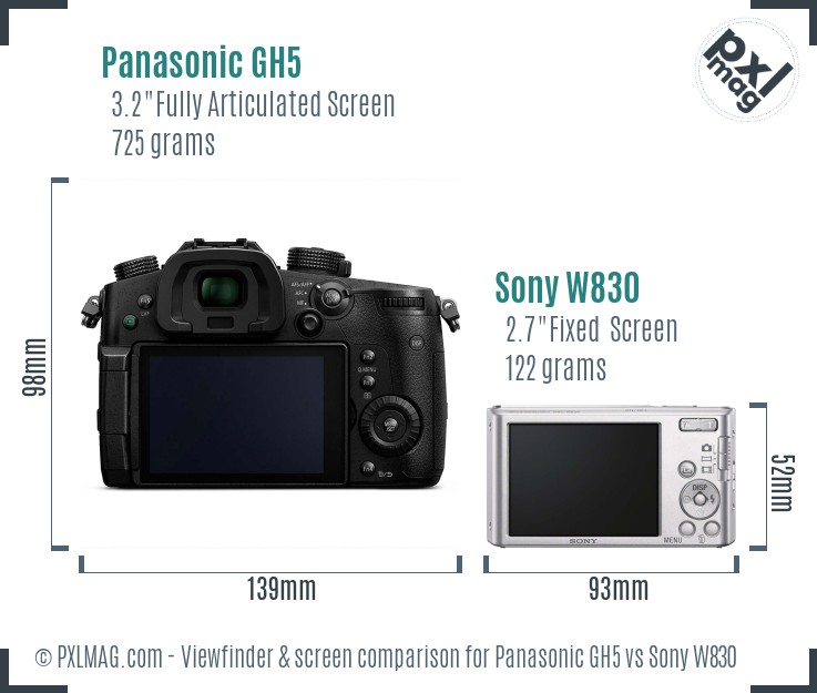 Panasonic GH5 vs Sony W830 Screen and Viewfinder comparison