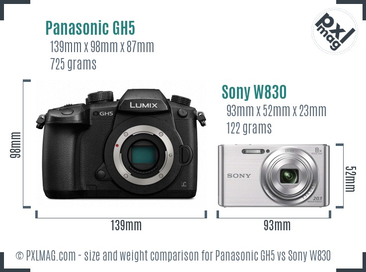 Panasonic GH5 vs Sony W830 size comparison