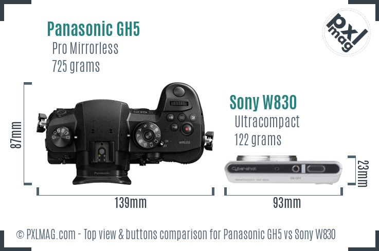 Panasonic GH5 vs Sony W830 top view buttons comparison