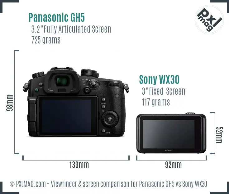 Panasonic GH5 vs Sony WX30 Screen and Viewfinder comparison