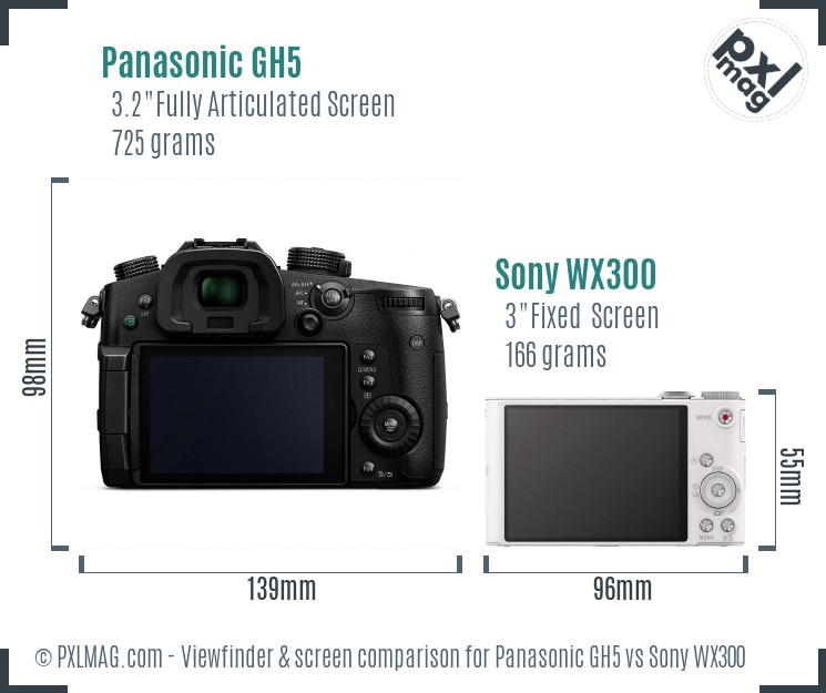 Panasonic GH5 vs Sony WX300 Screen and Viewfinder comparison
