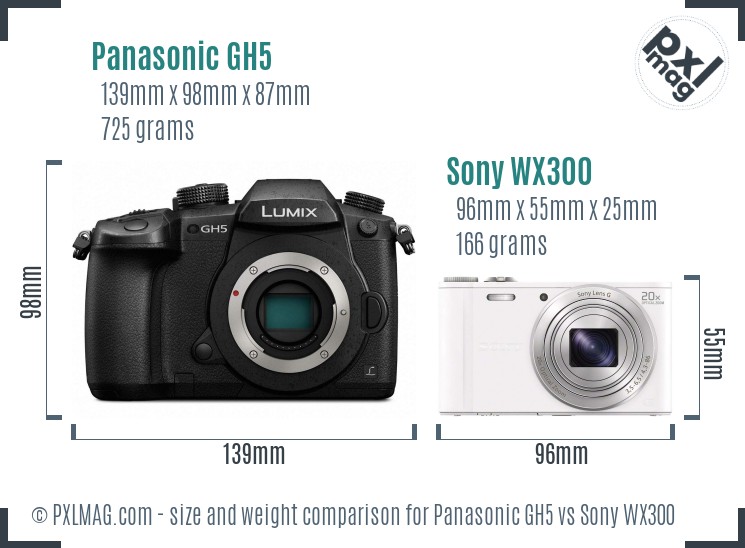 Panasonic GH5 vs Sony WX300 size comparison Panasonic GH5 vs Sony WX300 size comparison