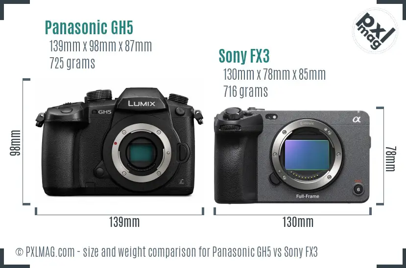 Panasonic GH5 vs Sony FX3 size comparison
