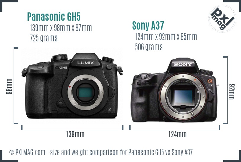 Panasonic GH5 vs Sony A37 size comparison