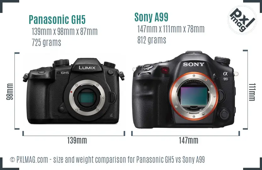 Panasonic GH5 vs Sony A99 size comparison