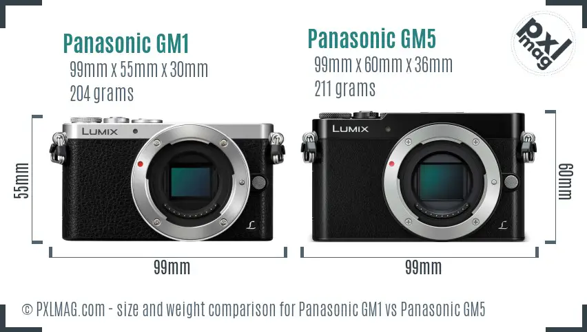 Panasonic GM1 vs Panasonic GM5 size comparison