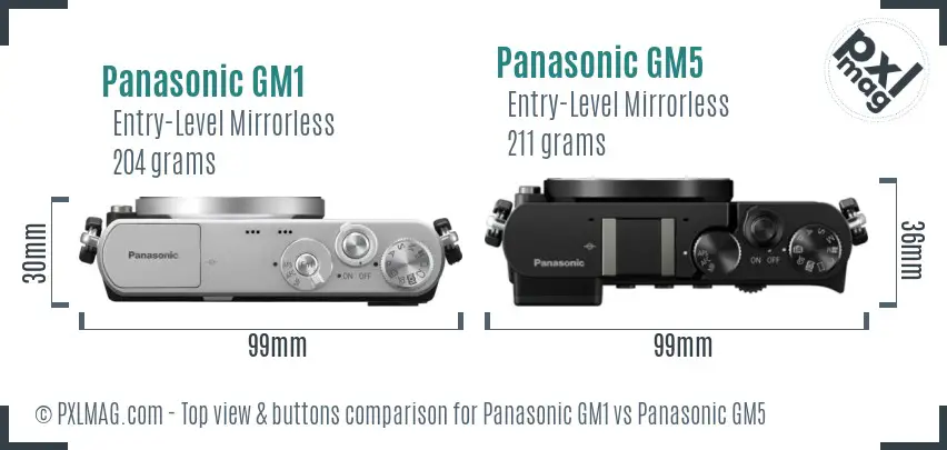 Panasonic GM1 vs Panasonic GM5 top view buttons comparison