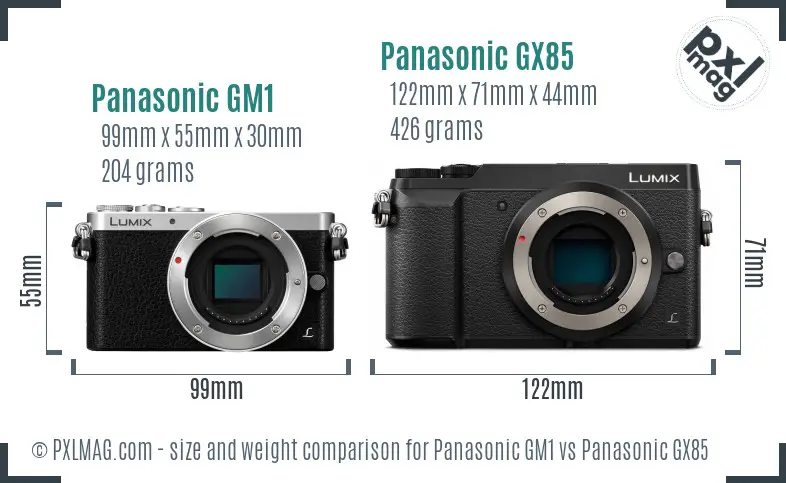 Panasonic GM1 vs Panasonic GX85 size comparison