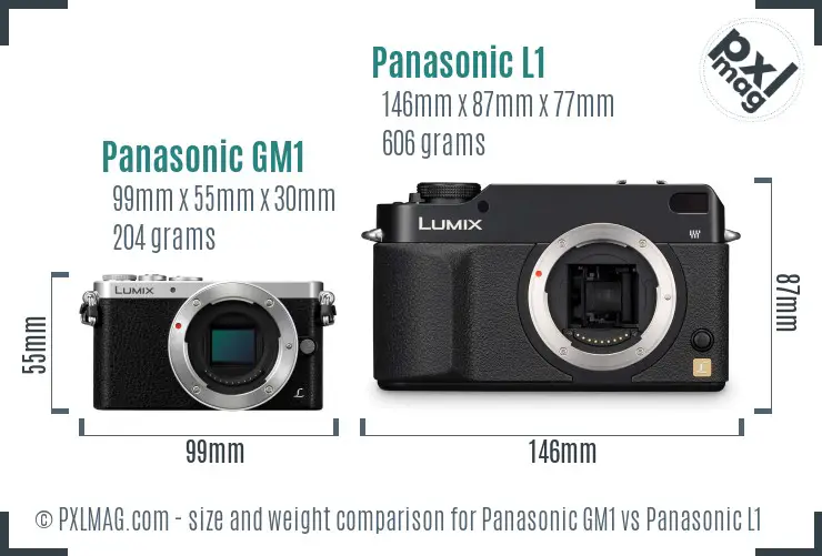Panasonic GM1 vs Panasonic L1 size comparison