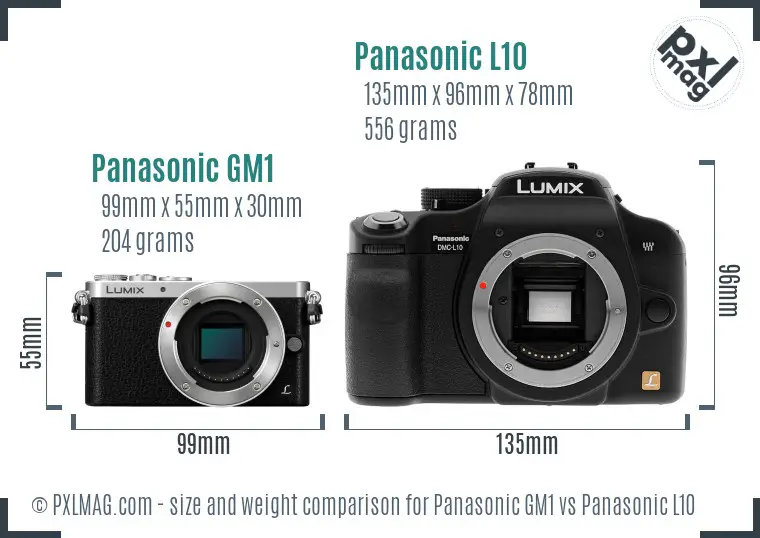 Panasonic GM1 vs Panasonic L10 size comparison